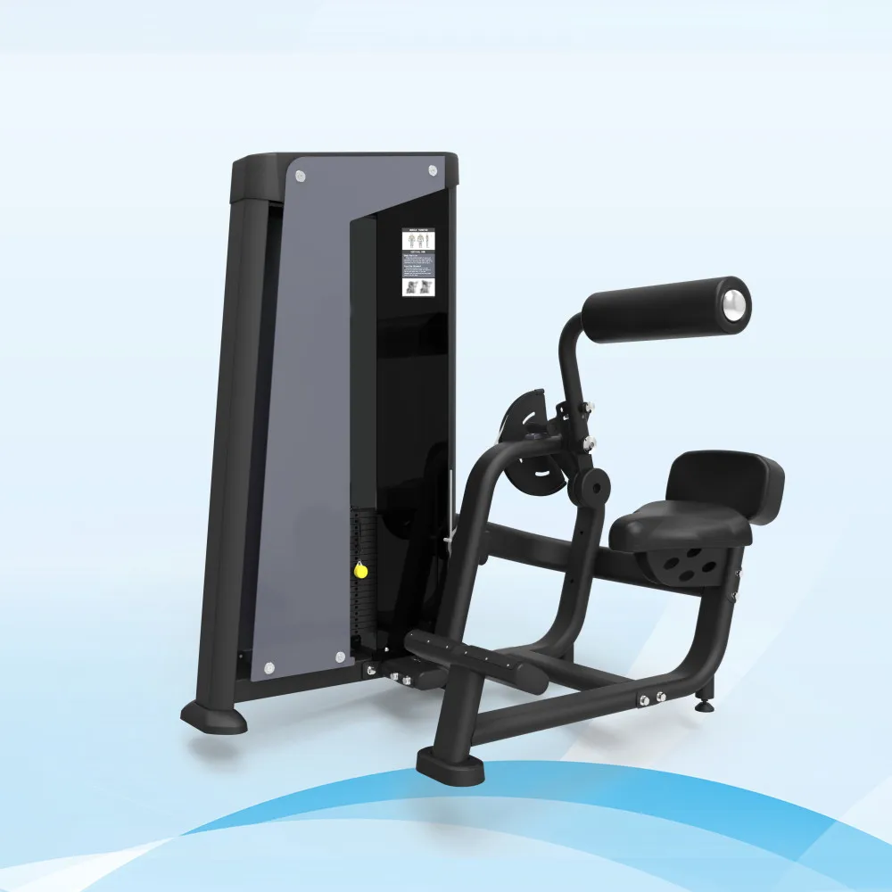 

Worldwide Selling Commercial Gym Equipment Manufacturer Back Extension Sport Machine With Best Quality and Lower Price, Customized color