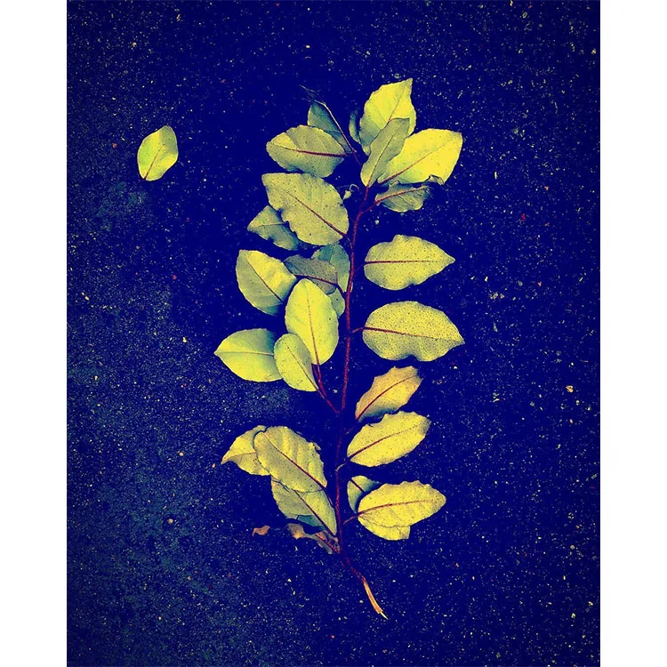 
Exquisite pictures of landscapes, cityscapes, street scenes, facades. 