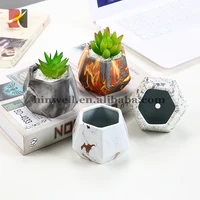 

New Design Home Decoration Geometric Succulent Pots Plant Containers Ceramic Planter