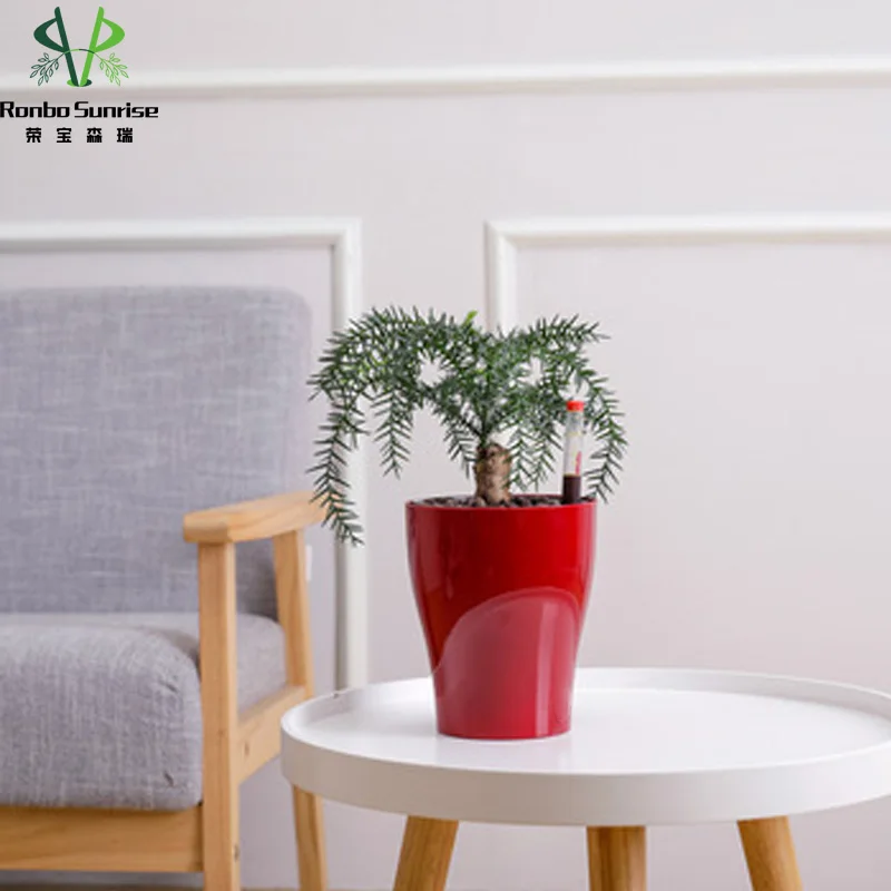 

Wholesale Small Size Garden Home Decoration Plastic Planter Self Watering Smart Lazy Flowerpot for Succulent, As picture or customized