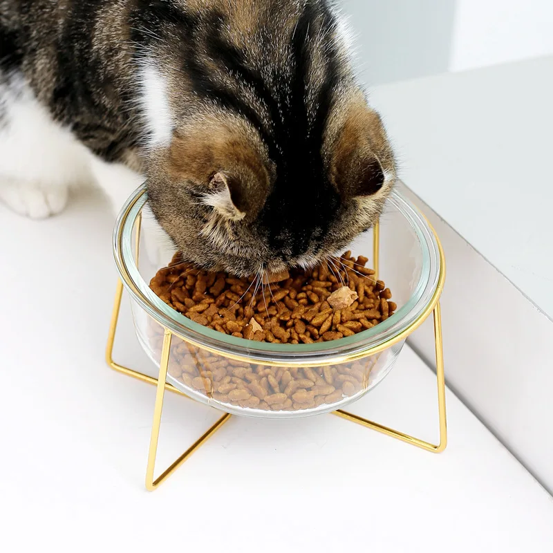 

New Design Wholesale custom colorful fashion glass pet bowl cat dog iron frame pet water food feeder