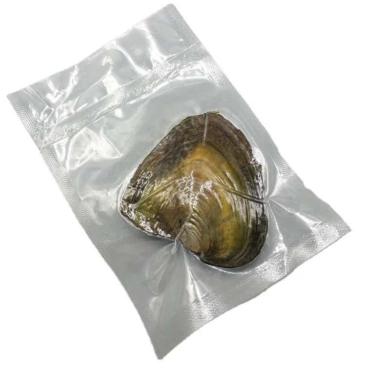 

Wholesale natural Freshwater real pearl oyster Shell Wish Oyster fresh cultured oyster pearl