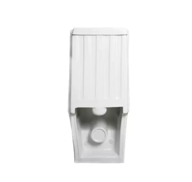 
A3111 Bathroom sitting wc sanitary ware one-piece washdown toilets economical one piece ceramic wc toilet 
