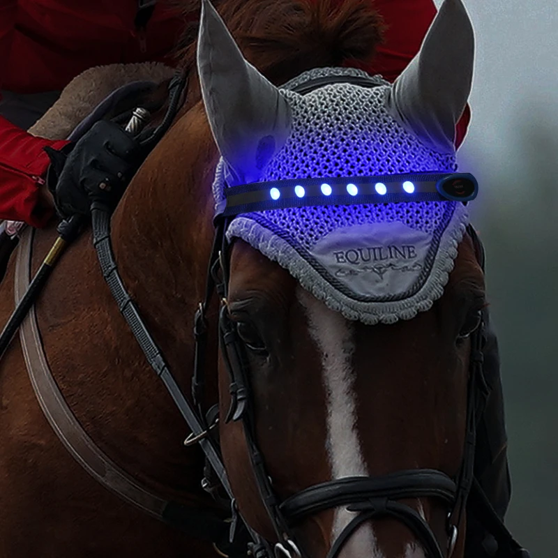
Fashion accessory LED horse headband for ridding 