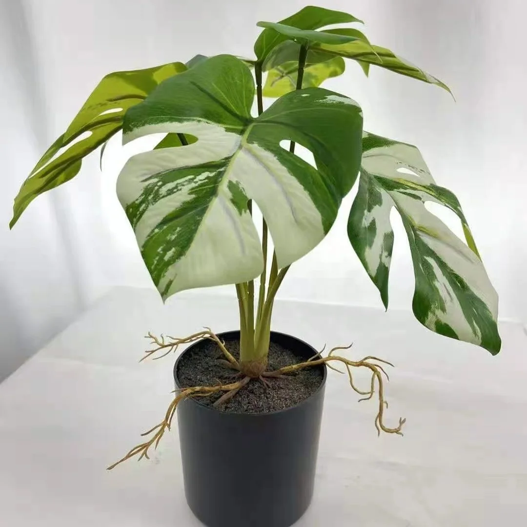 

Quality real touch small potted monstera variegated plant artificial tree and plant