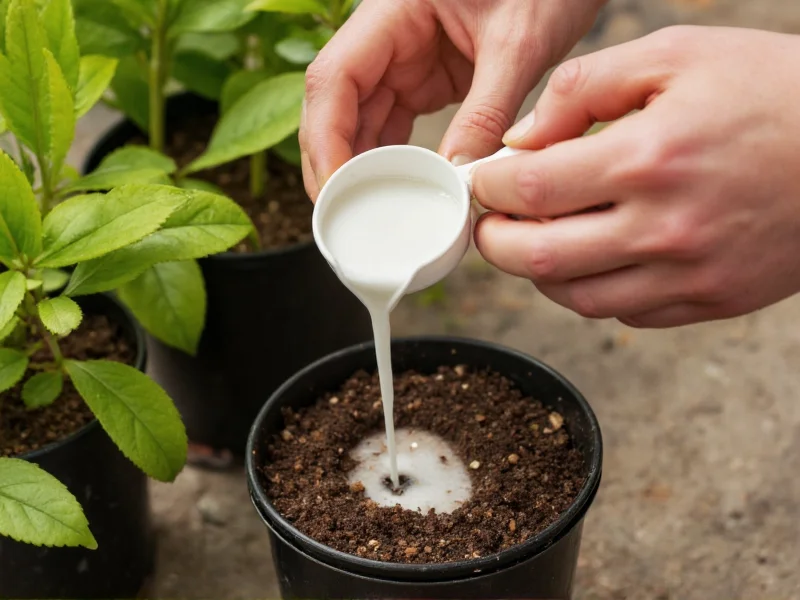 Measuring diluted homemade fertilizer for potted plants