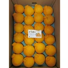 Citrus seedless high quality fruit names fresh orange gift box