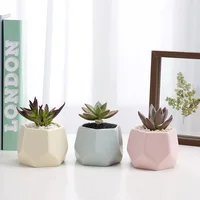 

Nordic style indoor colorful ceramic hexagon small succulent plant pots cactus pots
