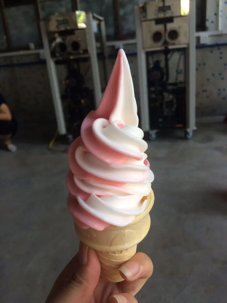 Ice Cream Machine(21)