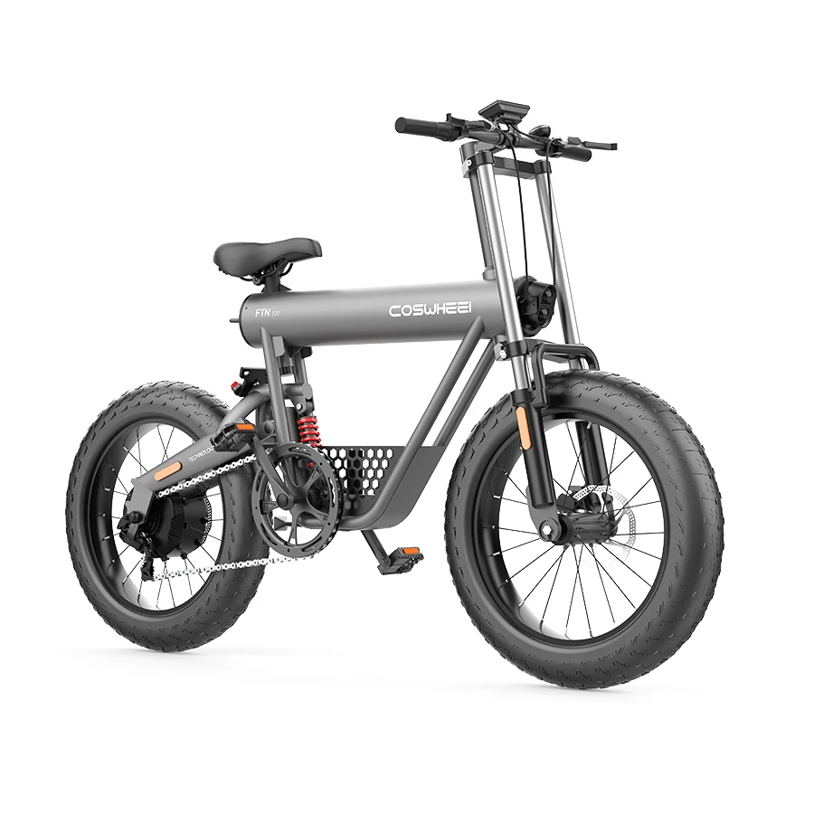 

LSY high quality e bike 20 inch folding electric bicycle with 48V 15Ah Lithium-ion battery, Space grey color