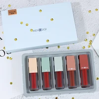 

2019 matte waterproof lip gloss set that won't fade easily