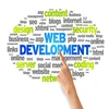 application software business model