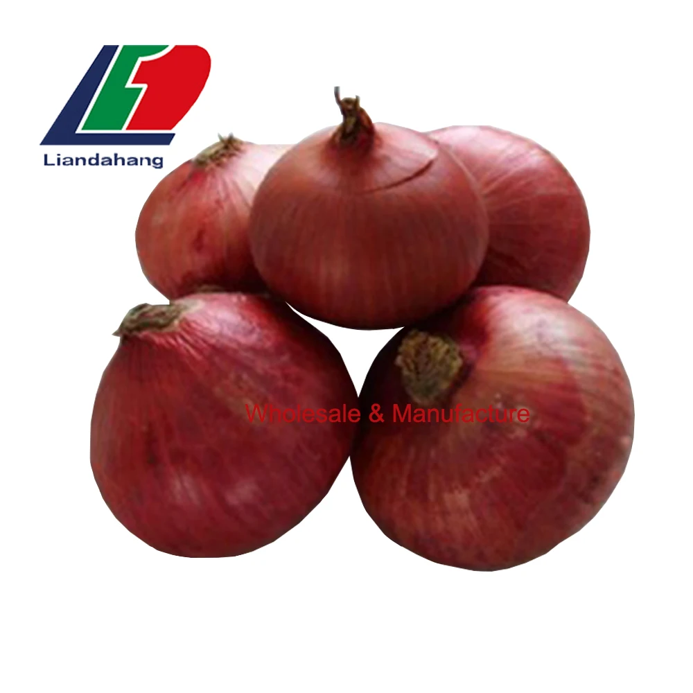Superior 50mm Size Red Onion,Bulk Fresh Red Onion Importers In Vietnam For Sale,Fresh Red Onions