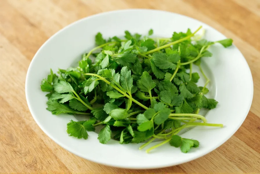 Can You Freeze Coriander? Expert Preservation Guide