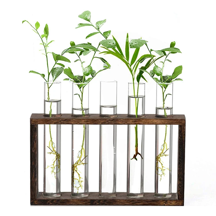 

Home Decoration Vintage Wood frame glass vase plant propagation station wall hanging