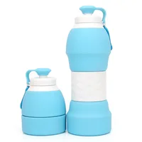 

Eco Friendly Reusable Travel Outdoor Sport Silicone Collapsible Water Bottle