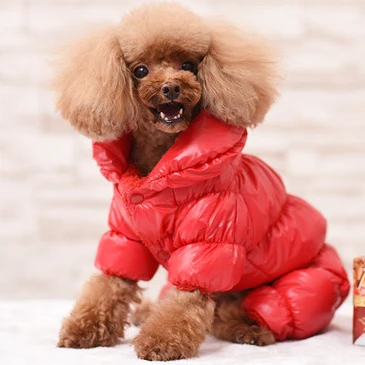 

Winter 2019 Pet Clothes Shiny Thicken Winter Warm Puppy Pet Coat Jacket For Small Dogs Waterproof Dog Jumpsuit Chihuahua Clothes, Red, blue, black, gloden, gray
