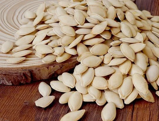 
Cheap price white pumpkin seeds with AA grade hot selling 