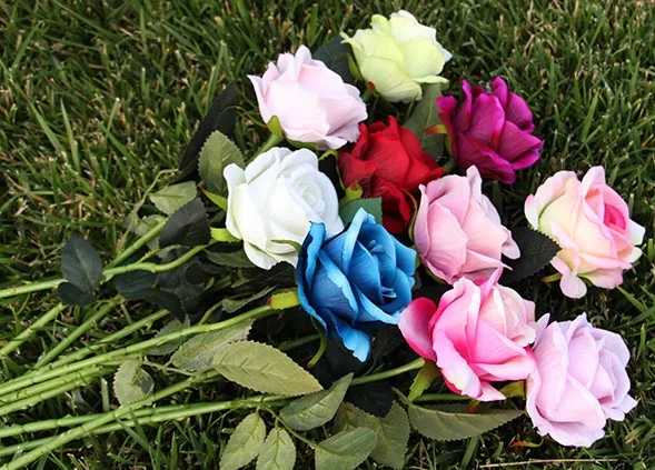valvet rose-18.JPG