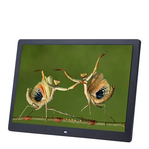 

Multi Function Electronic 12 Inch Digital Photo frame Photo Video Picture Frame