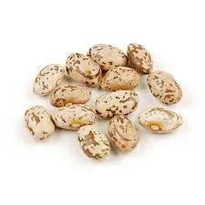 
Peru Grown Fresh Pinto Beans Dry Robinson Fresh MOQ 50 LBS Quick Delivery in US 