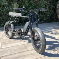 

2019 BBSHD 48V 1000W Mid Drive Motor Electric Bike