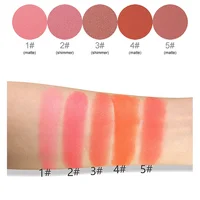 

No Logo Organic Natural Vegan OEM Makeup Blush