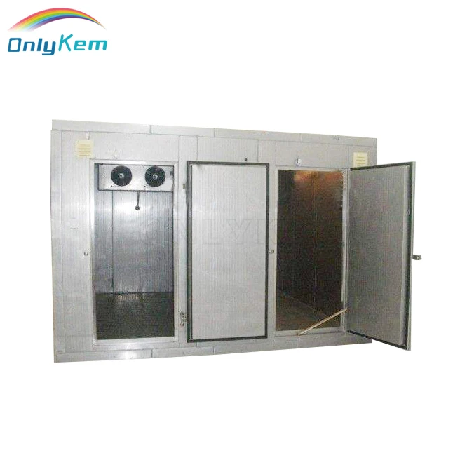
walk in blast freezer for soup quick freeze 
