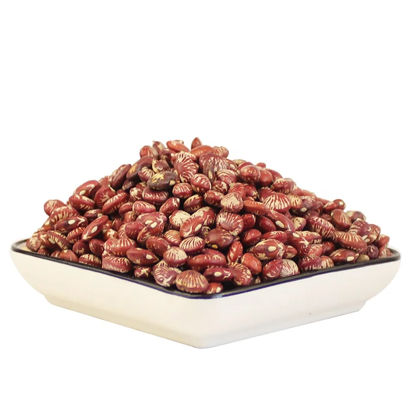 New crops high-quality China hot selling white red black kidney beans