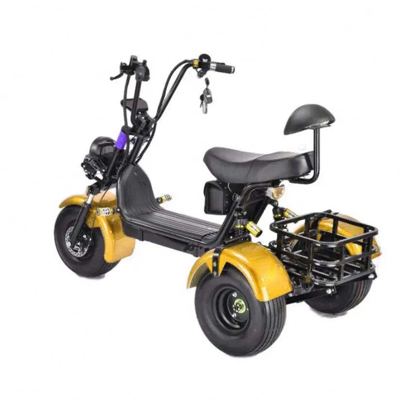 Manufacturer's Direct Sales Best-Selling Cargo Electric Tricycle, Black