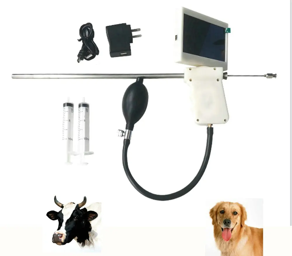 Goat Artificial Insemination Equipment,Canine Artificial Insemination