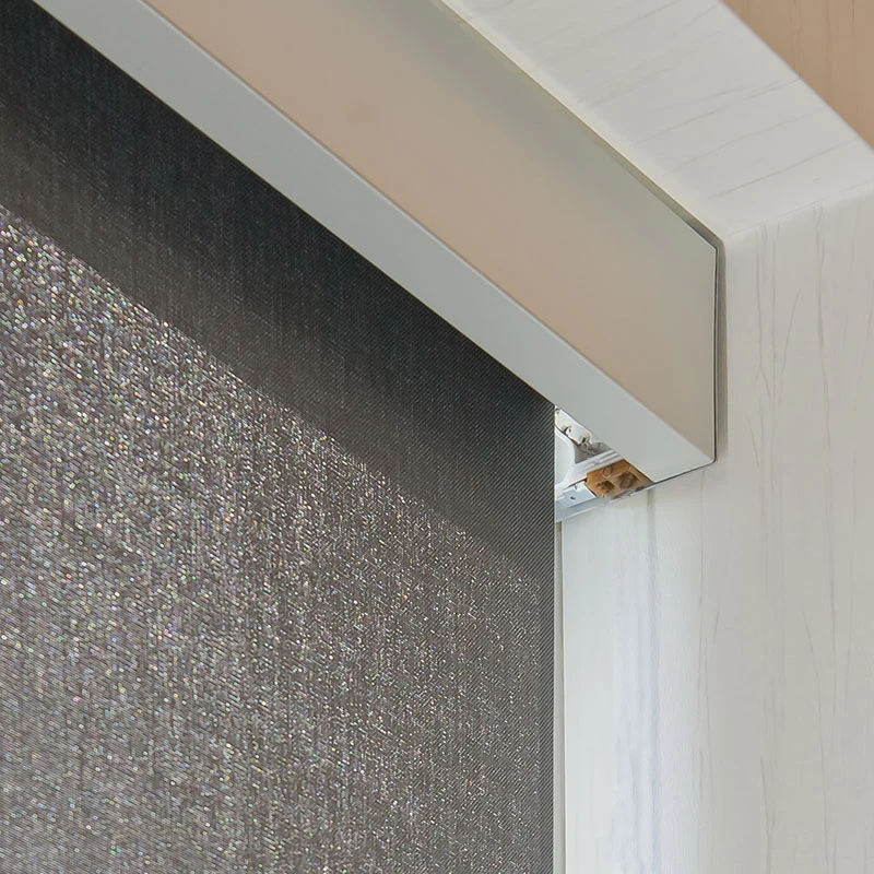 Blackout PVC Manual Roller Blind Shade for French Windows Outdoor Room Space Electric Format Application