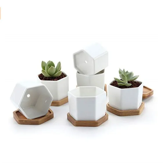 

hexagon plant pot indoor decor hexagon flower pot factory plant 2.75" White Ceramic Pots Hexagon Succulent Cactus Plant