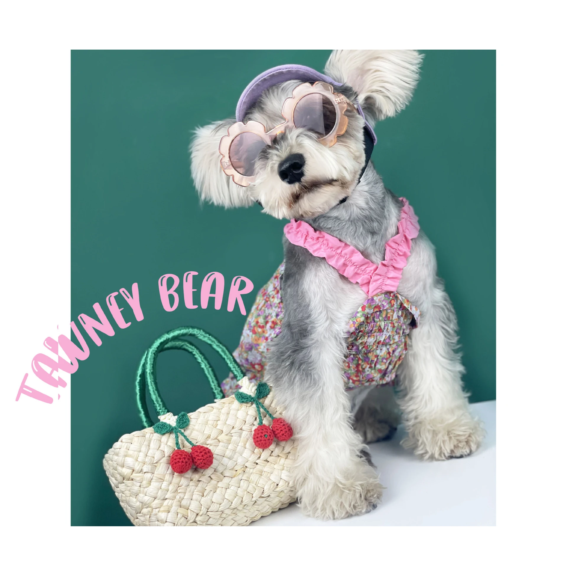 

Summer floral thin pet clothes cute and popular cat and dog dresses