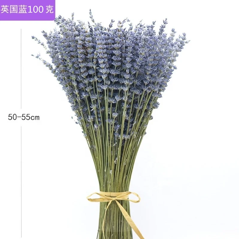 

Dried Lavender Flower Real dried flower for interior decoration