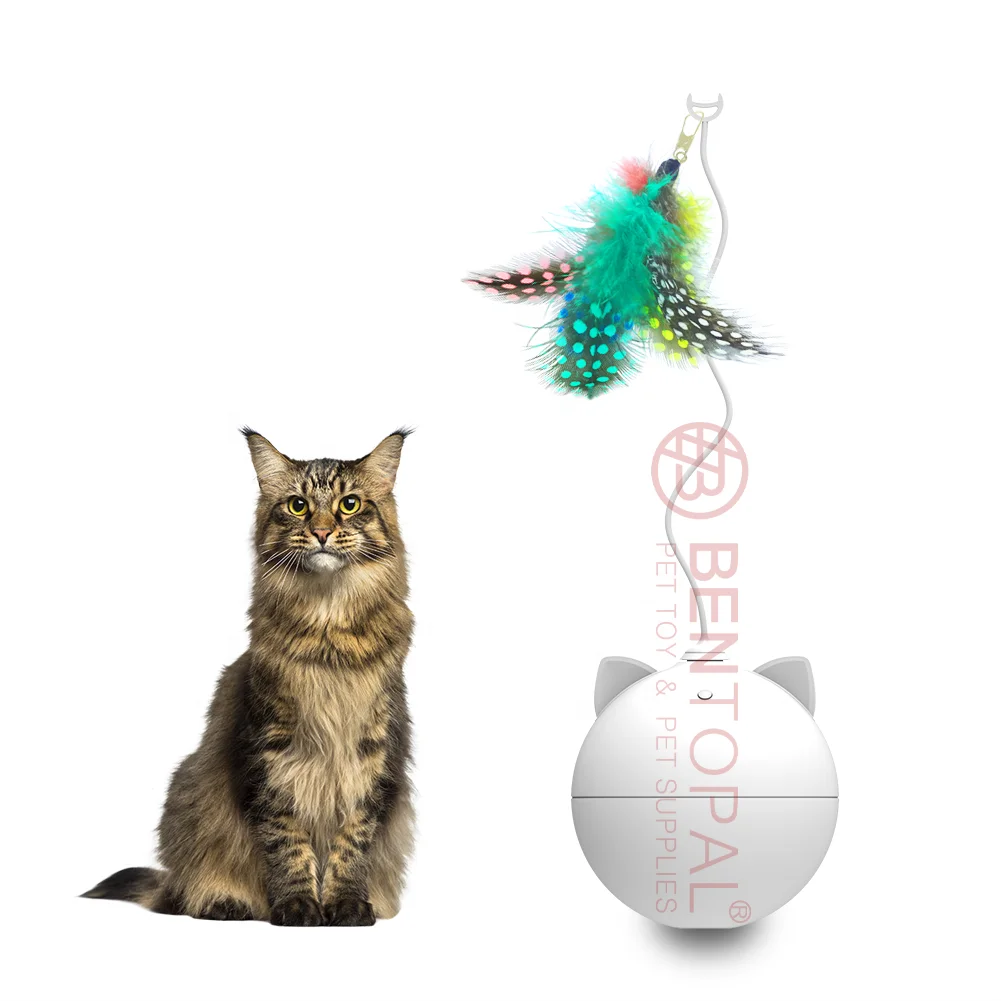 
Interactive Cat Ball Toy, Feather Cat Teaser & Automatic Spinning Tumbler Ball 