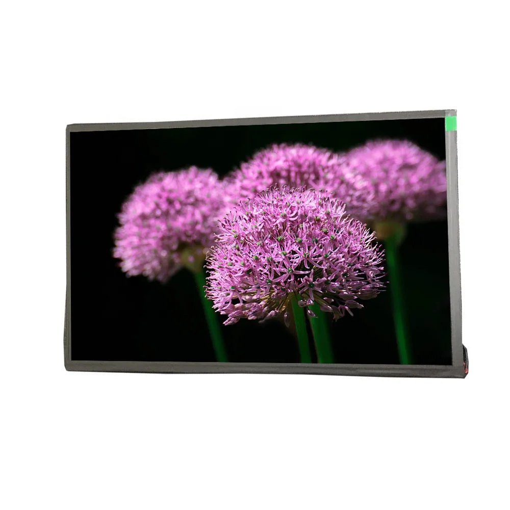 
Newest 2020 10.1 inches full HD IPS 1920x1200 industrial high contrast lcd modules display for medical machine 