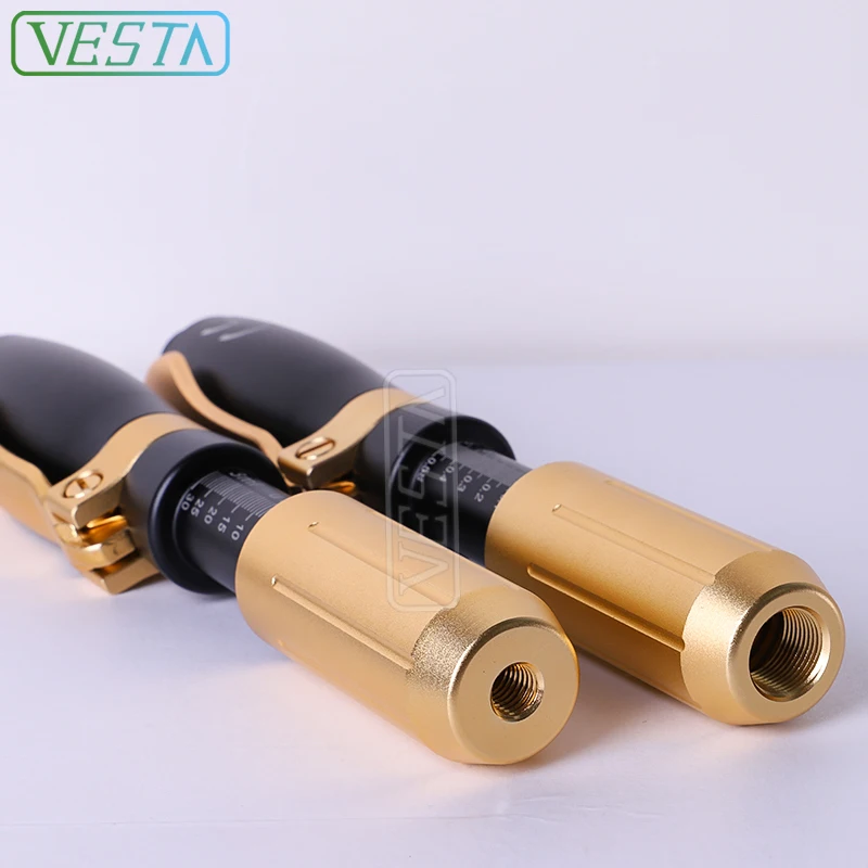 

Vesta 2021 Best Quality 0.3&0.5 ml Meso Therapy Gun Hyaluronic Acid 2in1 Gun Mesotherapy Meso Injection Pen Lip Filler Pen