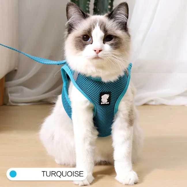 

Adjustable Breathable Air Mesh Cat Chest Straps Harness Leash Leads Collar Vest With Leash Set, Blue, turquoise, green, gray