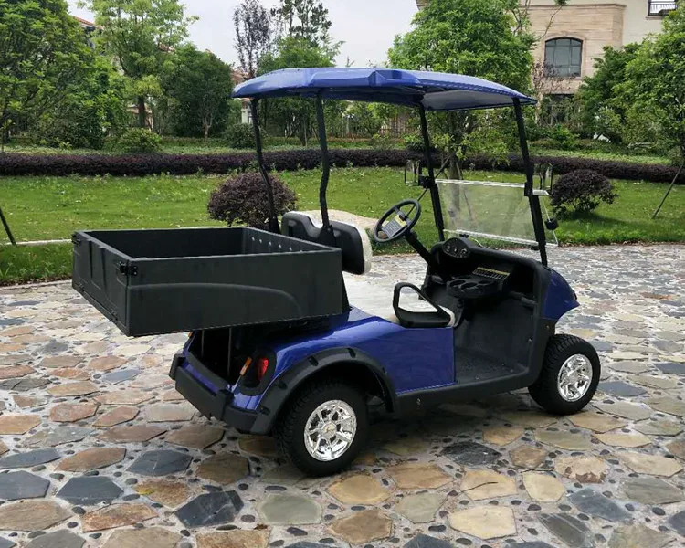 2 Seats Utility Golf Cart With Rear Cargo Box/ Golf Cart With Cargo Bed