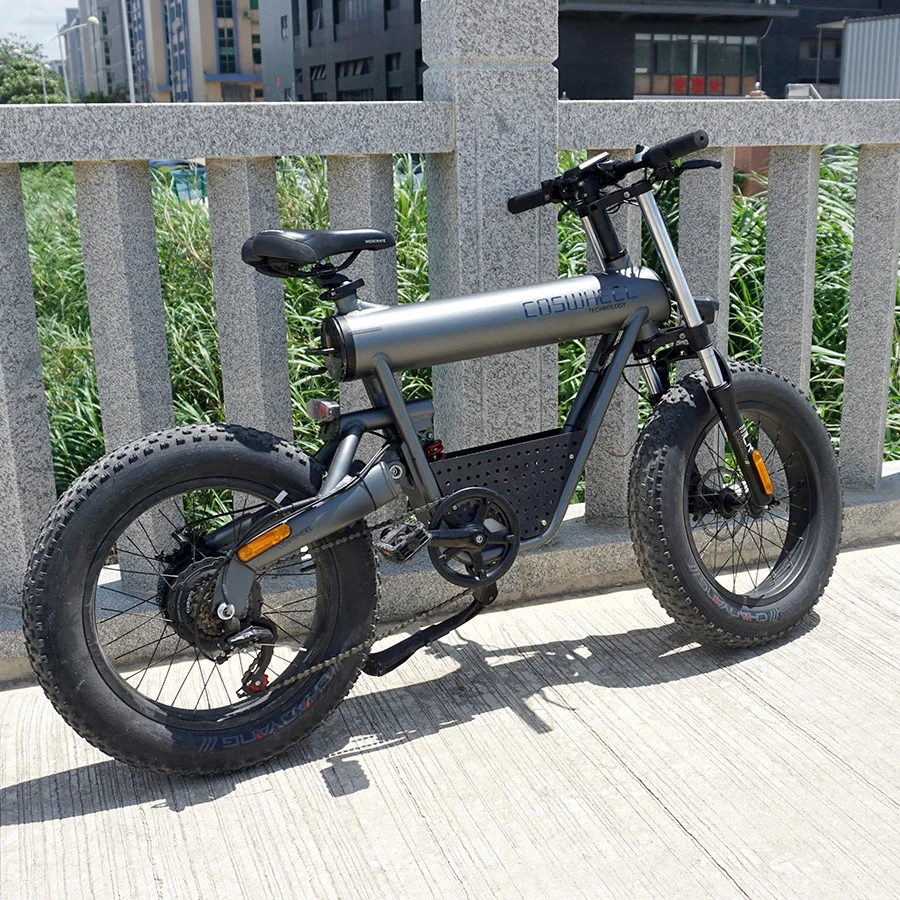 

LSY Good quality factory directly fat tire electric bike, Space grey color
