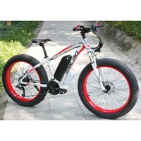 

26 inch Electric Mountain Bike 21 Speed 48V 10AH/13AH Lithium Battery Electric Bicycle 350W/500W/750W/1000W for Adult