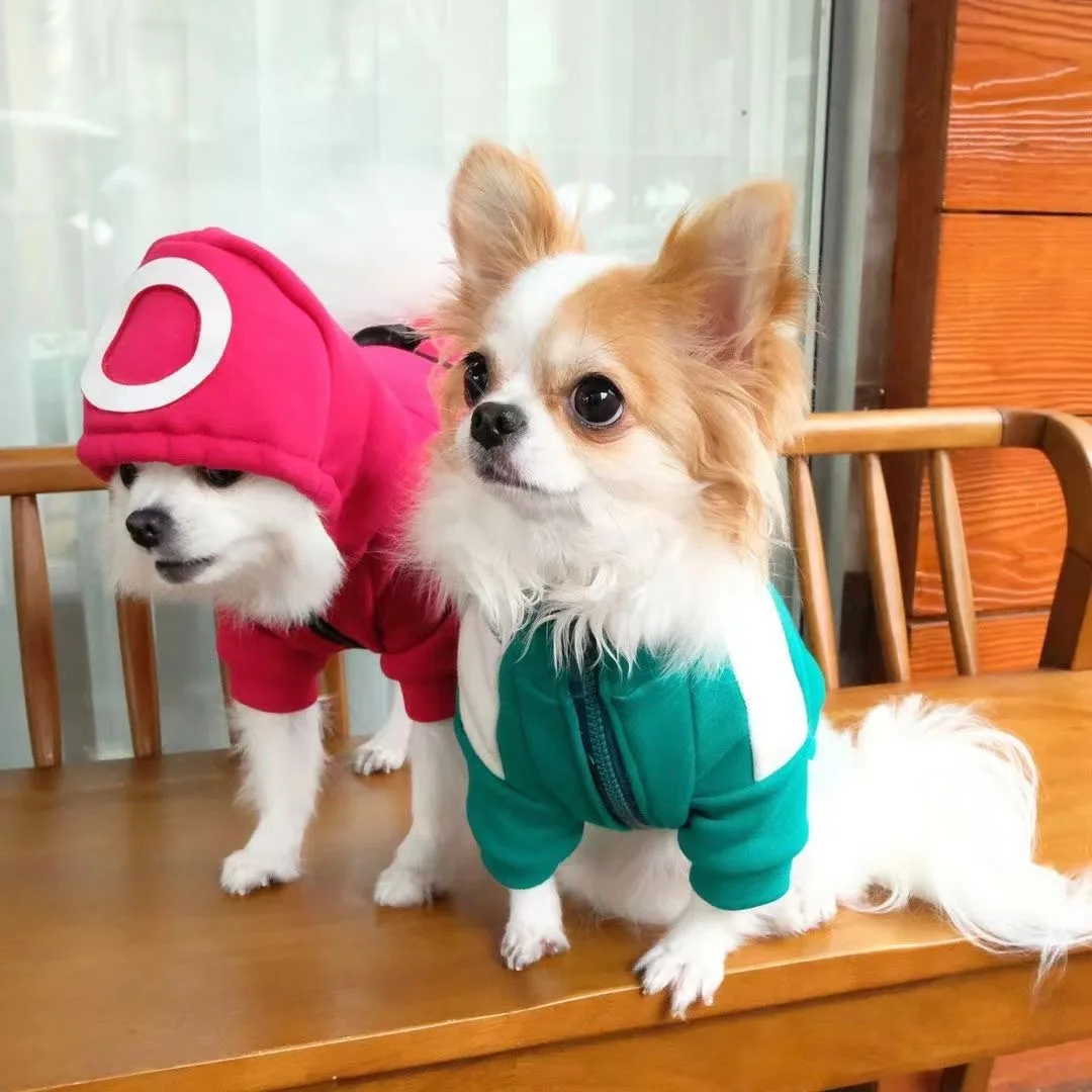 

squad game new custom dog cloths 2021 winter clothes for dogs Fashion high quality dog clothing, Stock colors and customized colors