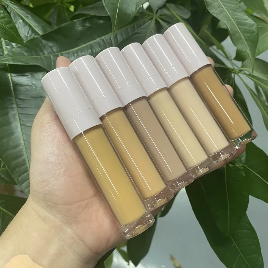

No Logo 10 Colors Best Full Coverage Liquid Concealer Waterproof Oil Control Private Label Concealer