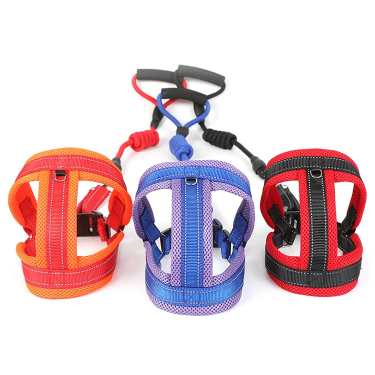 

2021 Pet Leash And Collar Personalized Luxury Pet Rope Leash Dog Harness Set, Customized color