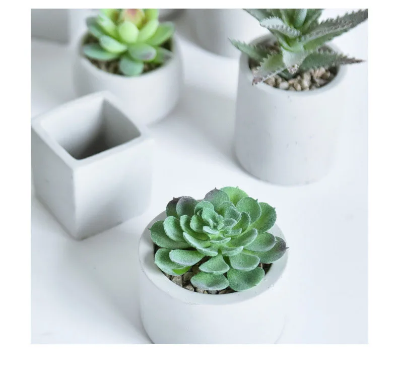 

Hot Sale Variegated Korean Natural Mini Succulent Artificial Plant With Pot Artificial Plants In Pots For Home Decor Indoor, Customizable