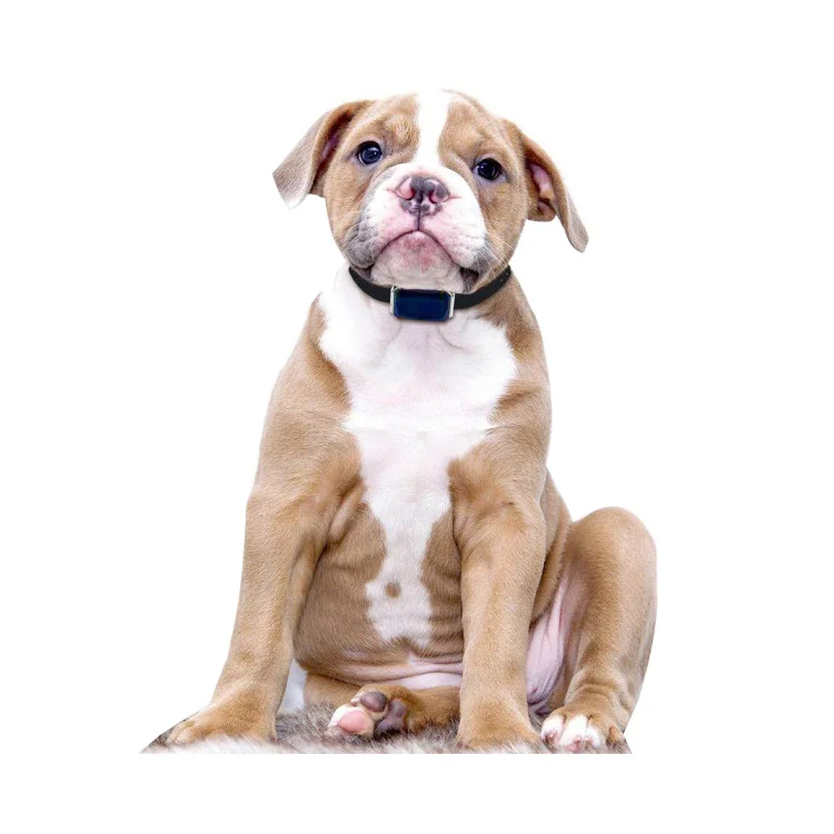 Waterproof Pet GPS tracker Localizer Led Dog Collar Tracking Cat Dog Collars