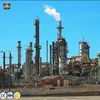 Low cost full automatic Continuous raw petroleum refinery plant raw petroleum refining machine with catalyst