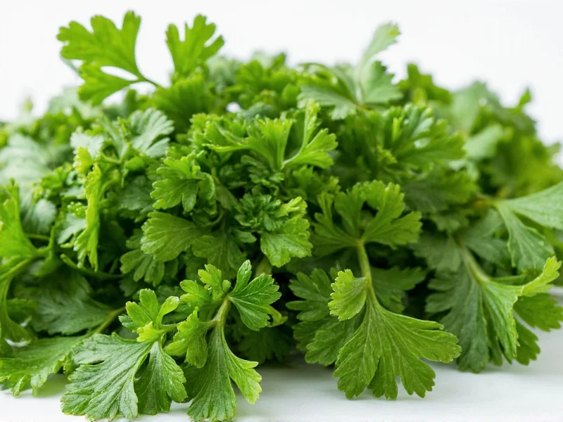 Dried Parsley Equivalent to Fresh: The 1:3 Conversion Rule