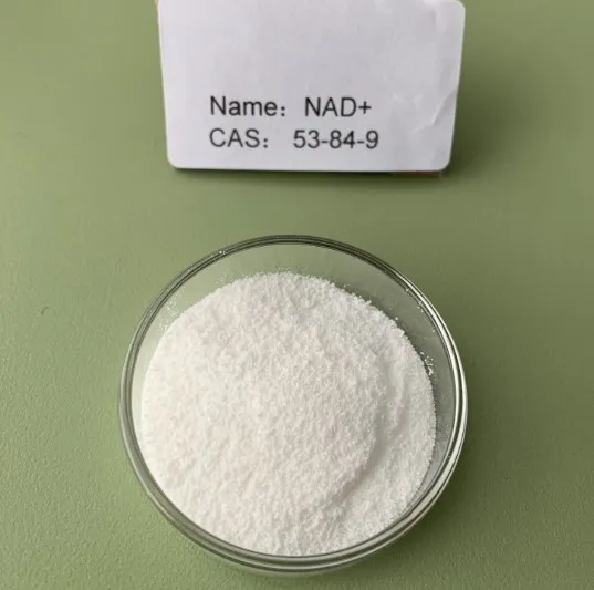 
Nicotinamide adenine dinucleotide powder capsules NADH NAD Plus 